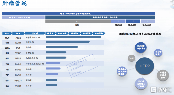 新澳精准资料免费提供网站有哪些,深度数据解析应用_RX版62.126