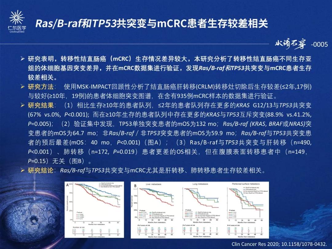 2024新奥官方正版资料免费共享，权威解读研究要点_大师版YIF974.47