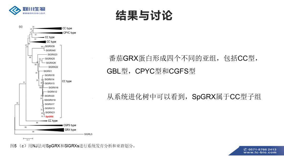 2024年全年度免费资料汇编：理财深度剖析_ULG913.13版