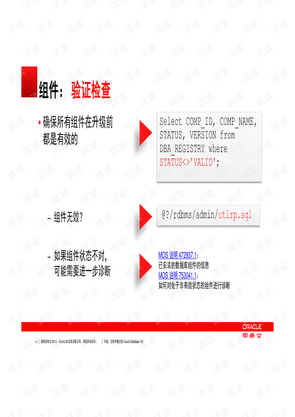 2024香港免费正版资料守护，薄荷RTN734.01资源策略详解