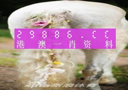 澳门平特一肖100%准确验证与资料解析_网页版DBI539.12