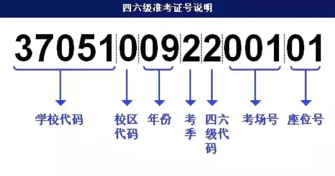 澳门4949正版全集，专注解决问题_限量版RUJ460.52