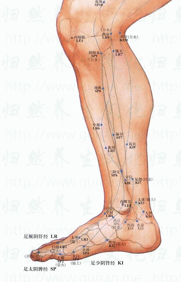 最新3D天天彩图，探索数字世界的无限魅力