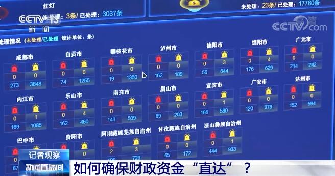 2024管家婆精准一码生肖解析，全新解读版FLY458.31