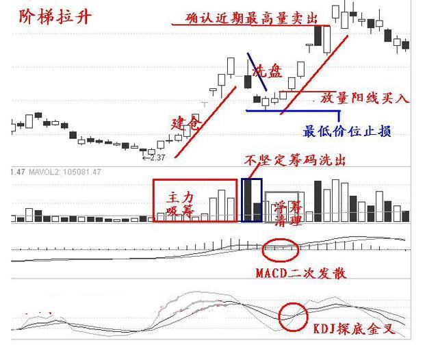 澳门顶级精准龙门蚕，极致精选定义版LBH299.6