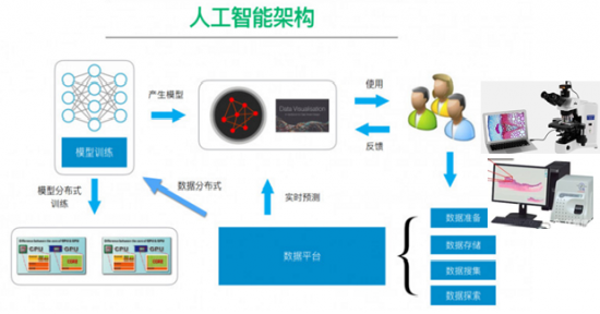 澳门精准一肖一码一一中,通过数据分析、人工智能和机器学习等技术的应用