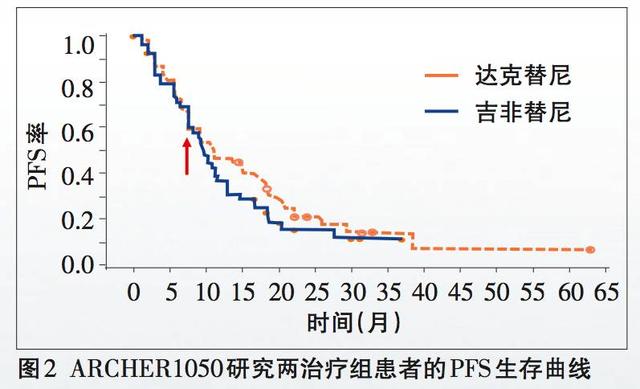 新澳天天开奖资料大全最新54期,通过对历史数据的分析