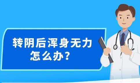 新澳精准资料免费提供2023,让更多的企业能够平等地获取到高质量的数据资源