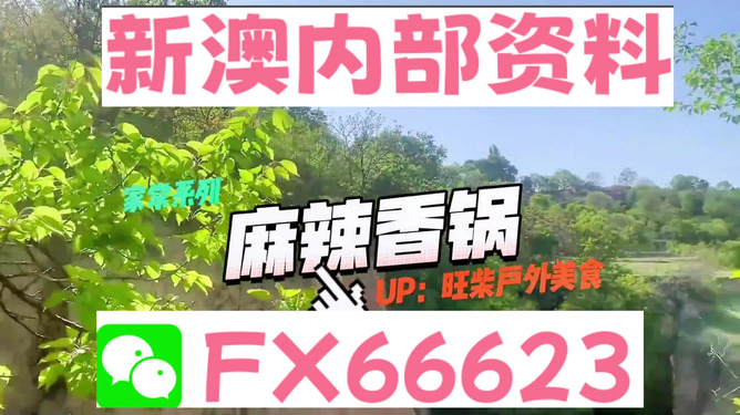 新澳精准资料免费提供305,可以更深入地挖掘资料背后的信息