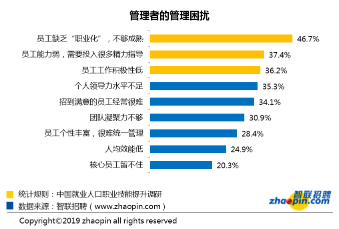 2024新奥正版资料免费,快速提升员工的技能和知识水平