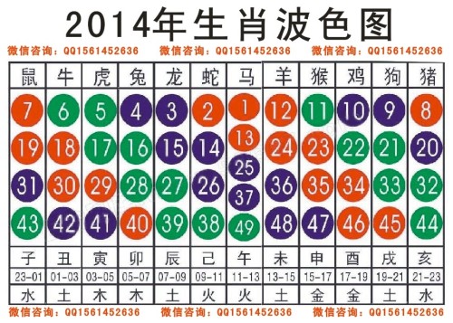 2024十二生肖49码表,十二生肖与数字的奇妙结合