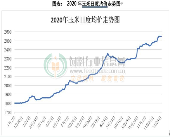 玉米最新价格及走势解析