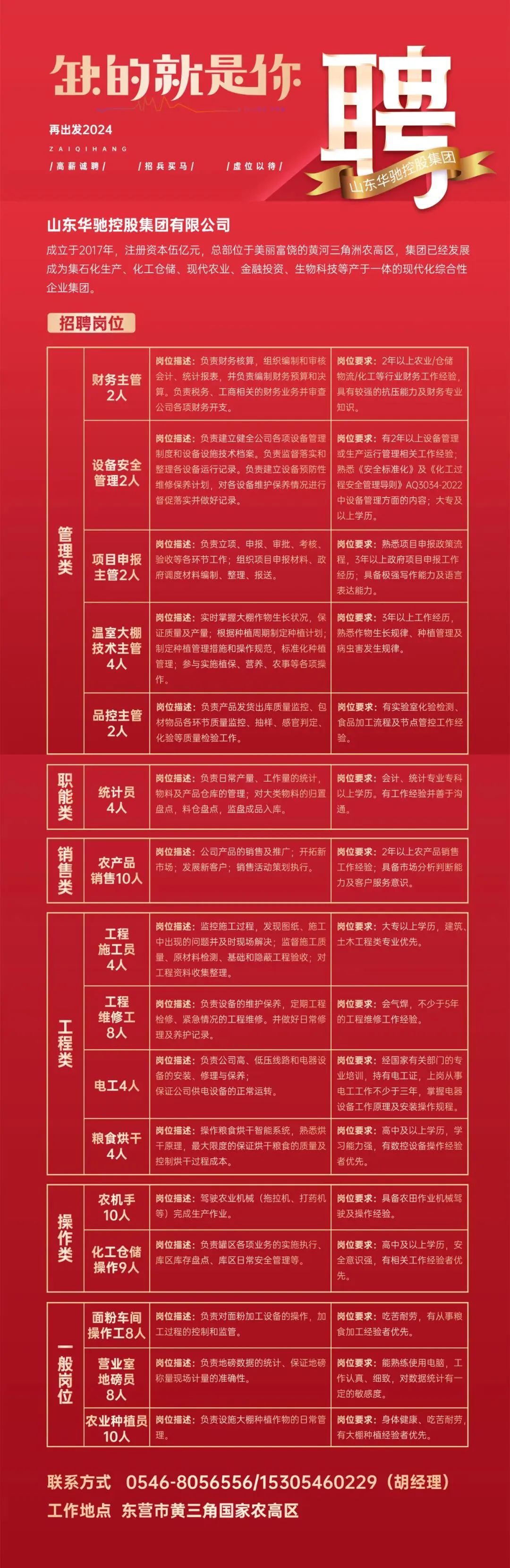 东营会计招聘信息最新概览