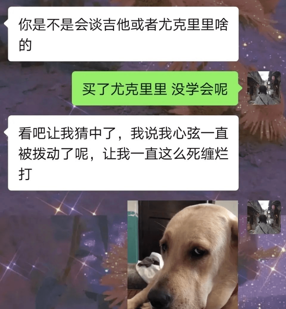 澳门正版资料大全免费歇后语,狗狗拉血吐血_旗舰版4.153