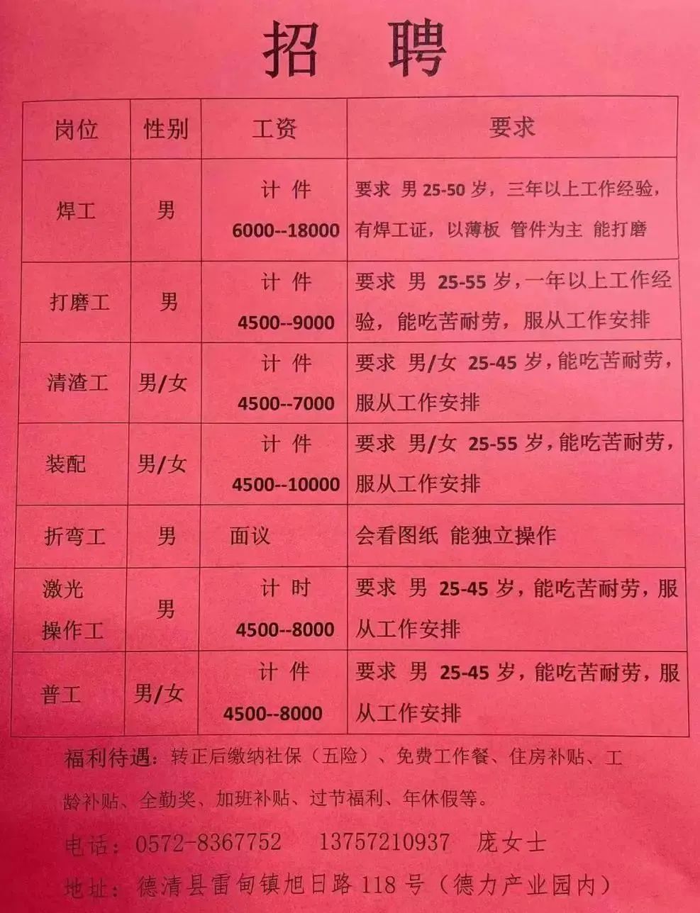 南和最新招聘信息概览，把握职业机遇脉搏（11月更新）