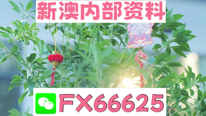 新澳精准资料免费群聊,英雄松鼠_王者版5.344