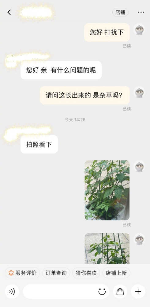 探索小草最新公众号，揭示绿色生态的力量与魅力