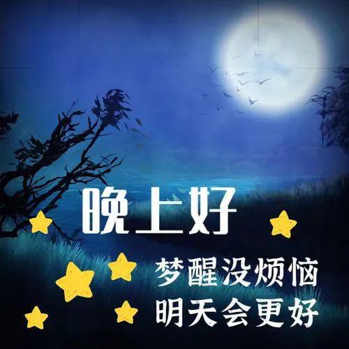 最新晚上好图片，探索与赏析之夜的美妙世界