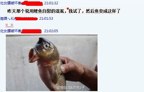 新澳天天彩免费资料大全特色,迪佳黑纹鲤鱼竿_领航版9.219