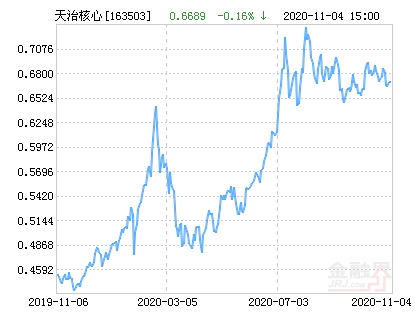 天治核成长净值最新动态，成长之路与未来展望