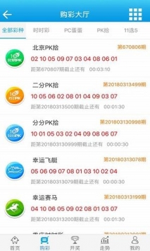 澳门王中王100%期期中,快捷问题计划设计_策略版14.502