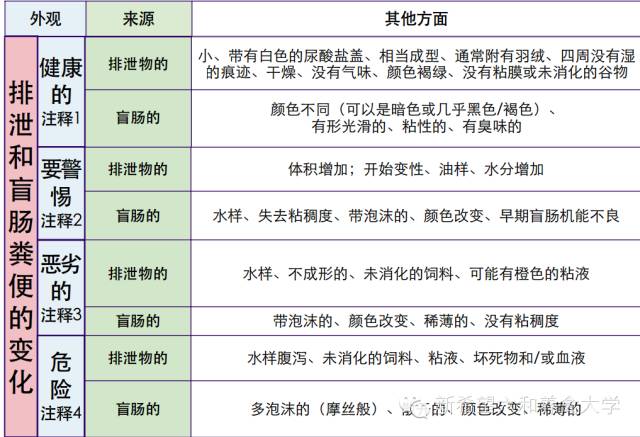 2024香港历史开奖结果,权威解析说明_探索版29.822