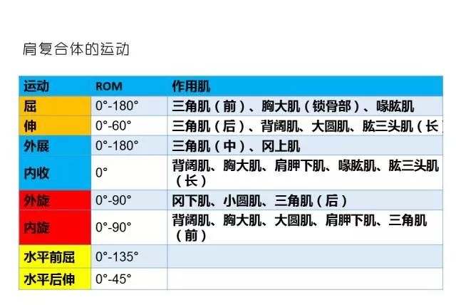 25049.0cm新奥彩40063,实证说明解析_安卓35.113