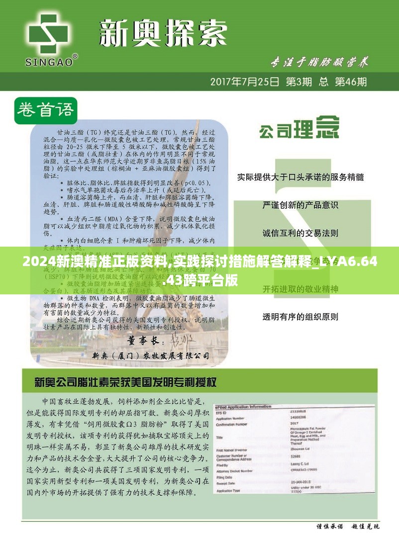 新澳2024年精准正版资料,全面实施策略数据_经典版172.312