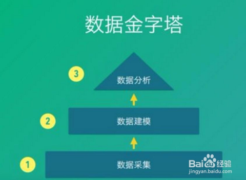 管家婆一码一肖最准资料最完整,数据驱动执行决策_战略版27.622