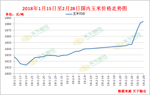 玉米最新价格走势分析与预测