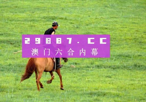 2024澳门精准四不像正版,实地数据验证策略_专属版49.963