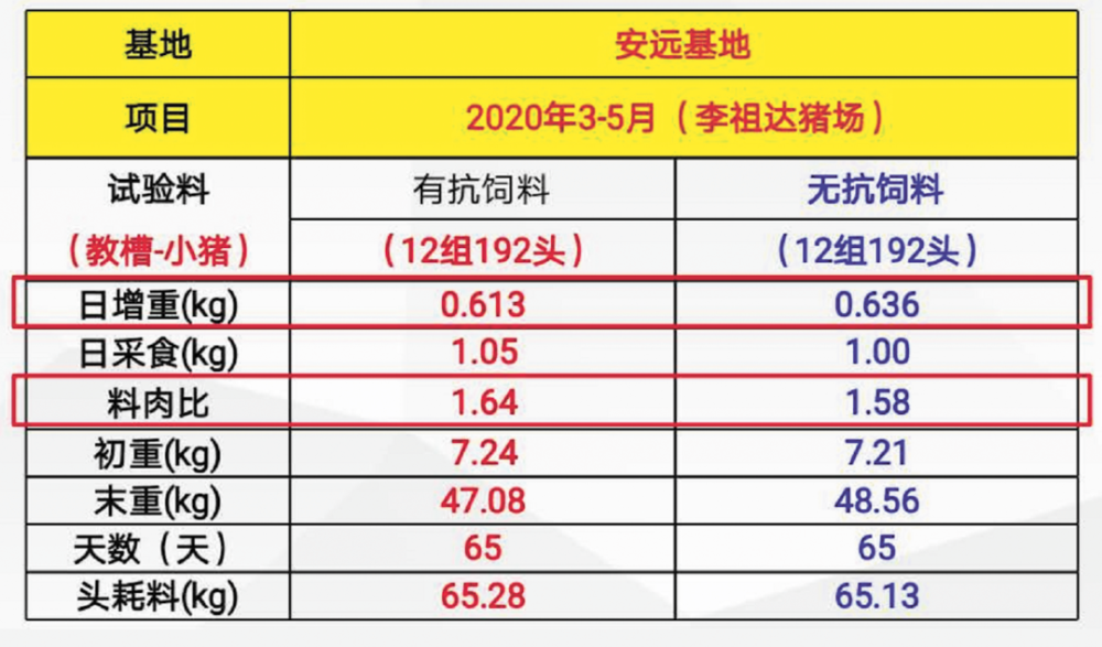 2024澳门正版免费精准大全,实地验证数据计划_经典版93.59