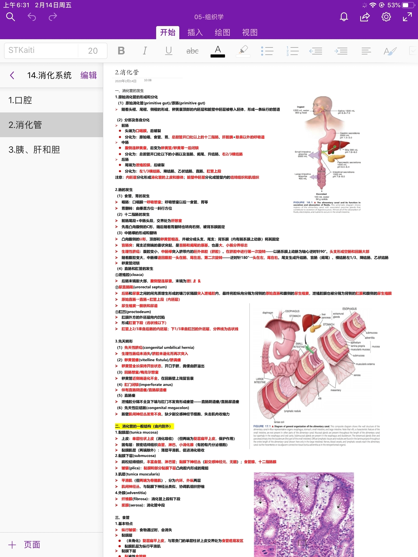 红姐资料统一大全,快速设计问题策略_RX版73.481