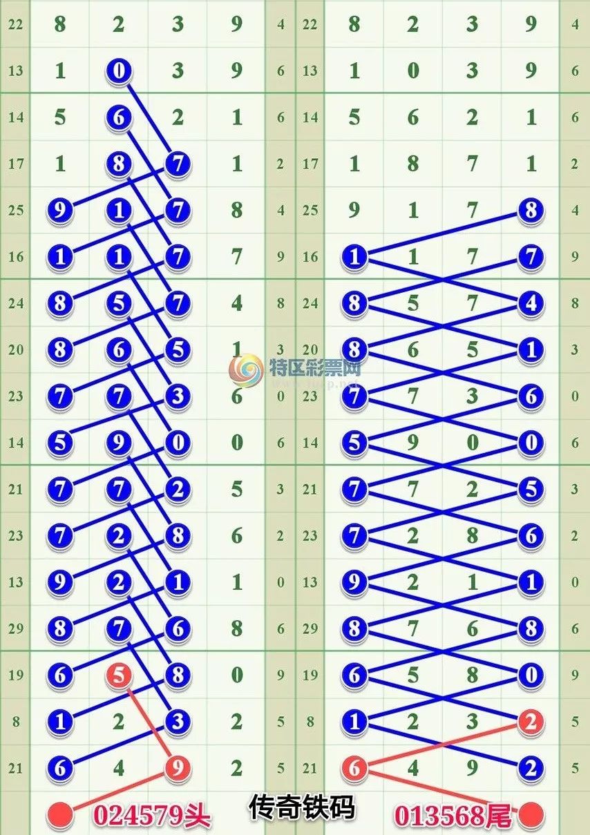 王中王鉄算盘一肖一码,深层数据分析执行_6DM85.184