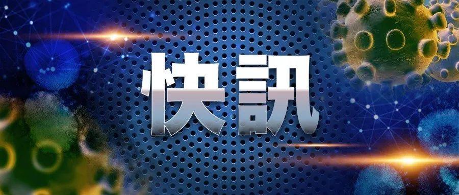 澳门疫情最新发布，全面应对，共守家园