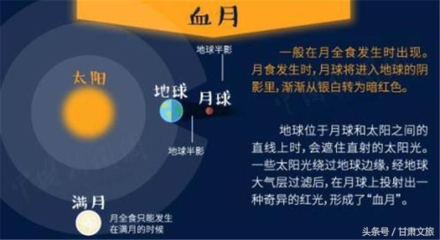 2024年新澳门今晚开奖号码是什么,深层数据策略设计_特供款35.784