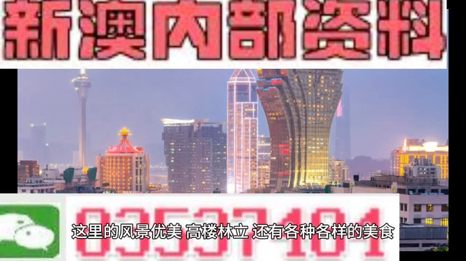 新澳最精准正最精准龙门客栈免费,可靠性策略解析_Pixel11.306