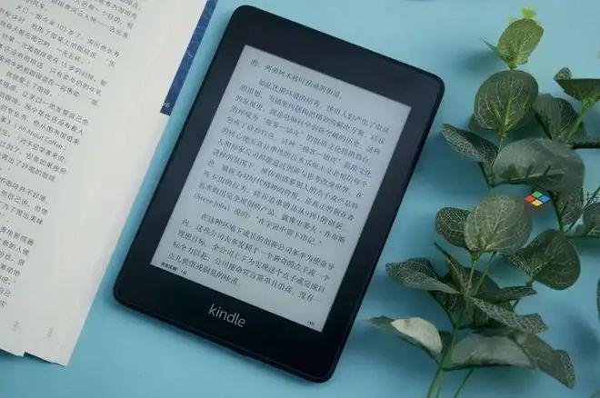 2024新澳正版免费资料,专业执行问题_Kindle43.389